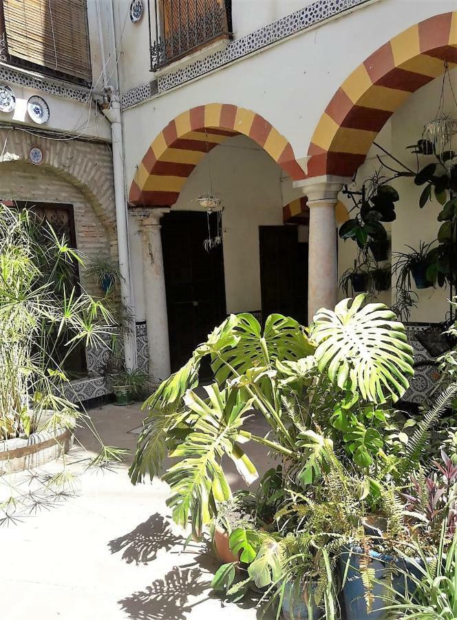 Apartmán Ap Abderraman I Córdoba Exteriér fotografie